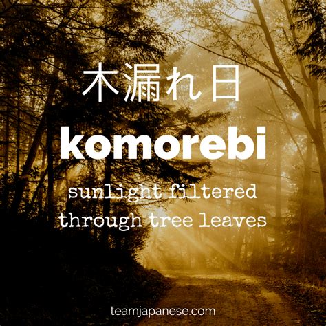 cool words japanese|very beautiful japanese words.